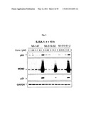 SPIRO-OXINDOLE MDM2 ANTAGONISTS diagram and image