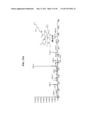 SPIRO-OXINDOLE MDM2 ANTAGONISTS diagram and image