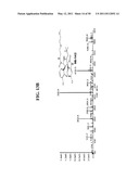 SPIRO-OXINDOLE MDM2 ANTAGONISTS diagram and image