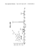 SPIRO-OXINDOLE MDM2 ANTAGONISTS diagram and image