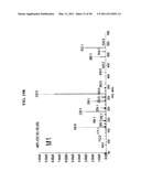 SPIRO-OXINDOLE MDM2 ANTAGONISTS diagram and image