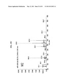 SPIRO-OXINDOLE MDM2 ANTAGONISTS diagram and image