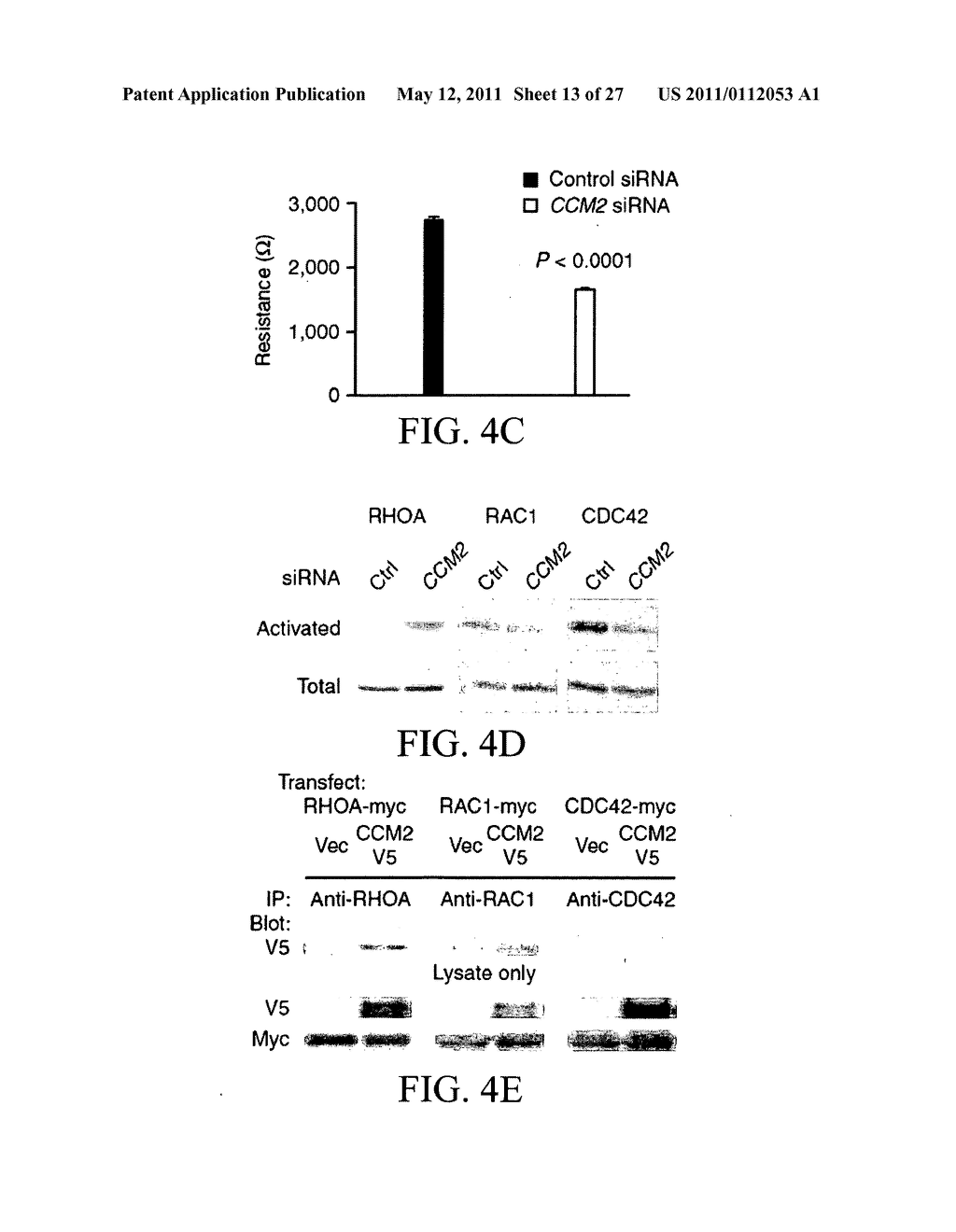 PHARMACOLOGICAL TARGETING OF VASCULAR MALFORMATIONS - diagram, schematic, and image 14