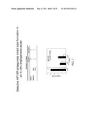 METHOD OF TREATING CANCER USING A NEUROPEPTIDE Y 5R (NP Y5R) ANTAGONIST diagram and image