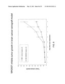 METHOD OF TREATING CANCER USING A NEUROPEPTIDE Y 5R (NP Y5R) ANTAGONIST diagram and image