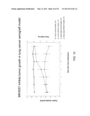 METHOD OF TREATING CANCER USING A NEUROPEPTIDE Y 5R (NP Y5R) ANTAGONIST diagram and image