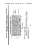 METHOD OF TREATING CANCER USING A NEUROPEPTIDE Y 5R (NP Y5R) ANTAGONIST diagram and image