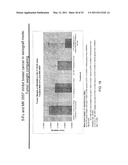 METHOD OF TREATING CANCER USING A NEUROPEPTIDE Y 5R (NP Y5R) ANTAGONIST diagram and image