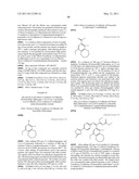 TRIAZOLONE DERIVATIVES diagram and image