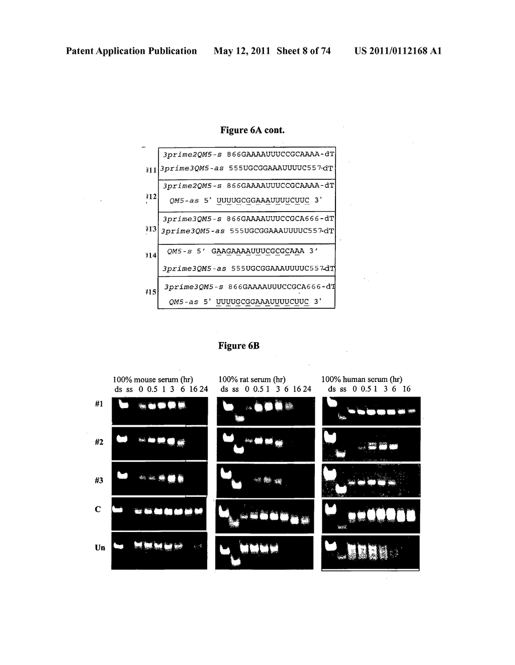 NOVEL SIRNA STRUCTURES - diagram, schematic, and image 09