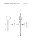 RNAi-BASED THERAPEUTICS FOR ALLERGIC RHINITIS AND ASTHMA diagram and image