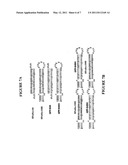 RNAi-BASED THERAPEUTICS FOR ALLERGIC RHINITIS AND ASTHMA diagram and image