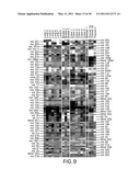 METHODS AND COMPOSITIONS INVOLVING MICRORNA diagram and image