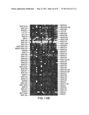 METHODS AND COMPOSITIONS INVOLVING MICRORNA diagram and image