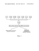 NOVEL STAT3 PATHWAY INHIBITORS AND CANCER STEM CELL INHIBITORS diagram and image