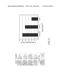 NOVEL STAT3 PATHWAY INHIBITORS AND CANCER STEM CELL INHIBITORS diagram and image