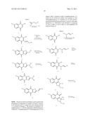 NOVEL STAT3 PATHWAY INHIBITORS AND CANCER STEM CELL INHIBITORS diagram and image