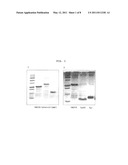 POLYPHENOL COMPOUNDS WITH MODULATING NEUROTRANSMITTER RELEASE diagram and image