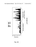 NOVEL TUMOR MARKER FOR PANCREATIC CANCER diagram and image