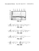 Compositions and Methods Relating to STOP-1 diagram and image