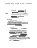 RNA INTERFERENCE MEDIATING SMALL RNA MOLECULES diagram and image