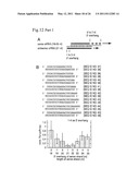 RNA INTERFERENCE MEDIATING SMALL RNA MOLECULES diagram and image