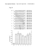 RNA INTERFERENCE MEDIATING SMALL RNA MOLECULES diagram and image