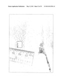 Hollow body cavity ablation apparatus diagram and image