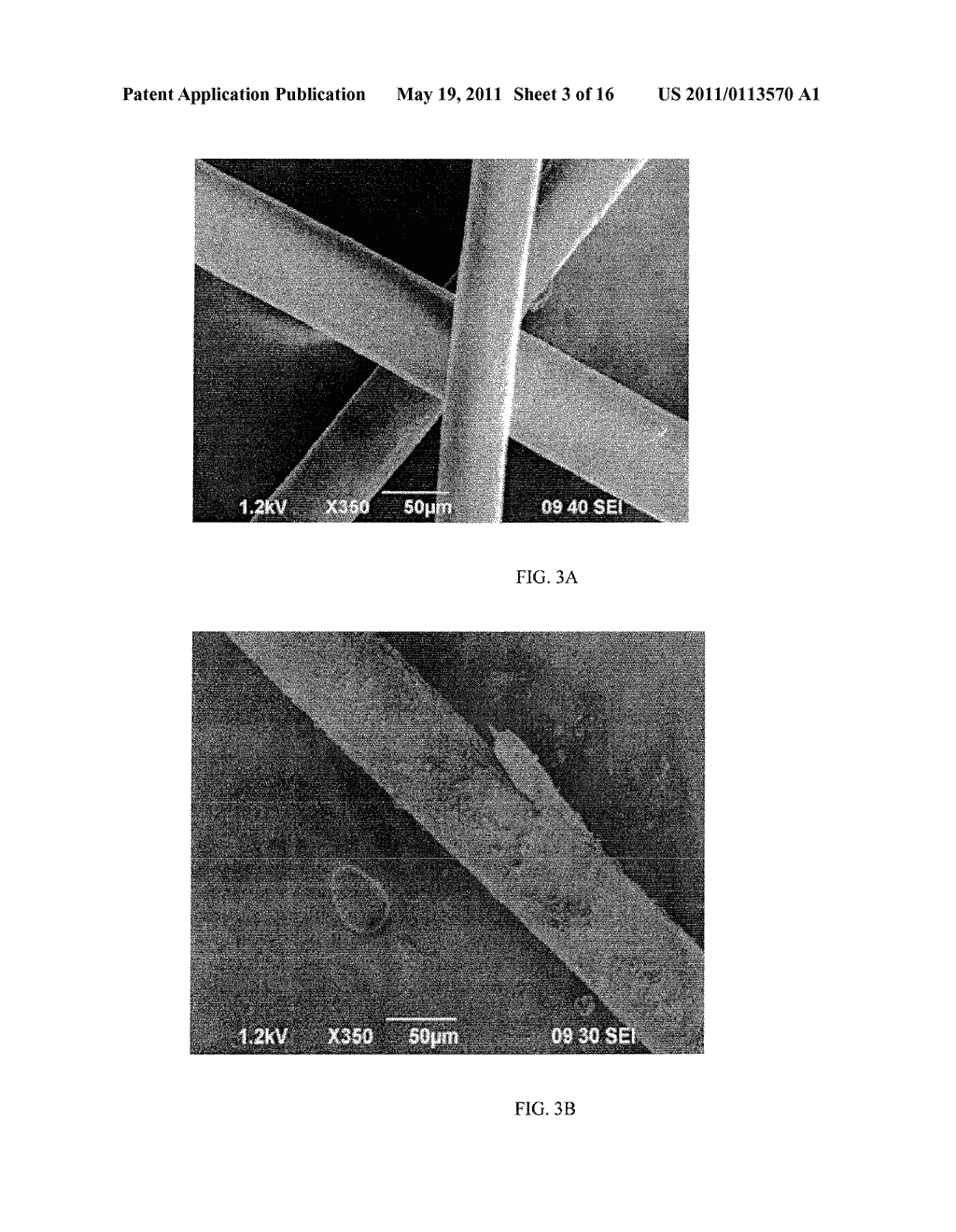 Coloring Composition Containing An Aromatic Compound and An Initiator - diagram, schematic, and image 04