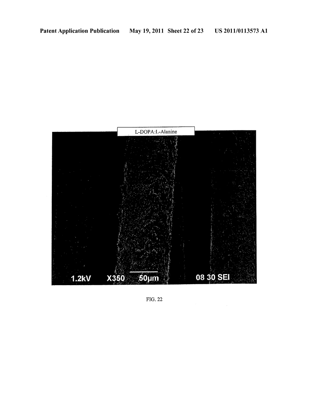 Coloring Composition Containing An Aromatic Compound And Forming A Non-Covalent Derivatization Complex - diagram, schematic, and image 23