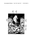 NASAL ADMINISTRATION diagram and image