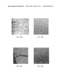 Nickel-Titanium-Rare Earth Alloy and Method of Processing the Alloy diagram and image