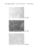 Nickel-Titanium-Rare Earth Alloy and Method of Processing the Alloy diagram and image