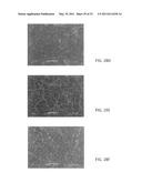 Nickel-Titanium-Rare Earth Alloy and Method of Processing the Alloy diagram and image