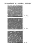 Nickel-Titanium-Rare Earth Alloy and Method of Processing the Alloy diagram and image