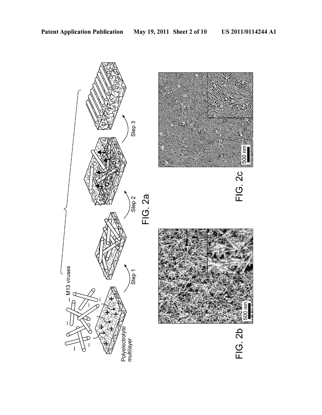 Self-assembly of macromolecules on multilayered polymer surfaces - diagram, schematic, and image 03