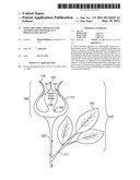 NOVEL REUSABLE APPARATUS FOR AFFIXING GIFT MATERIAL TO A PRESENTATION DEVICE diagram and image