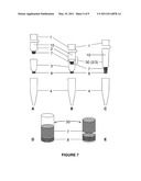 Plasmid DNA Isolation diagram and image