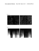 APPARATUS AND METHOD FOR CONVERTING 2D IMAGE SIGNALS INTO 3D IMAGE SIGNALS diagram and image