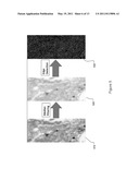 HIGH-SPEED AND LARGE-SCALE MICROSCOPE IMAGING diagram and image