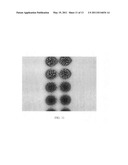 Dye composition for ophthalmic lens, method for producing colored ophthalmic lens using the same, and colored ophthalmic lens diagram and image