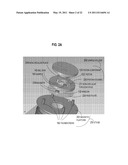 RAPID CONFOCAL MICROSCOPY TO SUPPORT SURGICAL PROCEDURES diagram and image