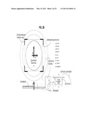 RAPID CONFOCAL MICROSCOPY TO SUPPORT SURGICAL PROCEDURES diagram and image