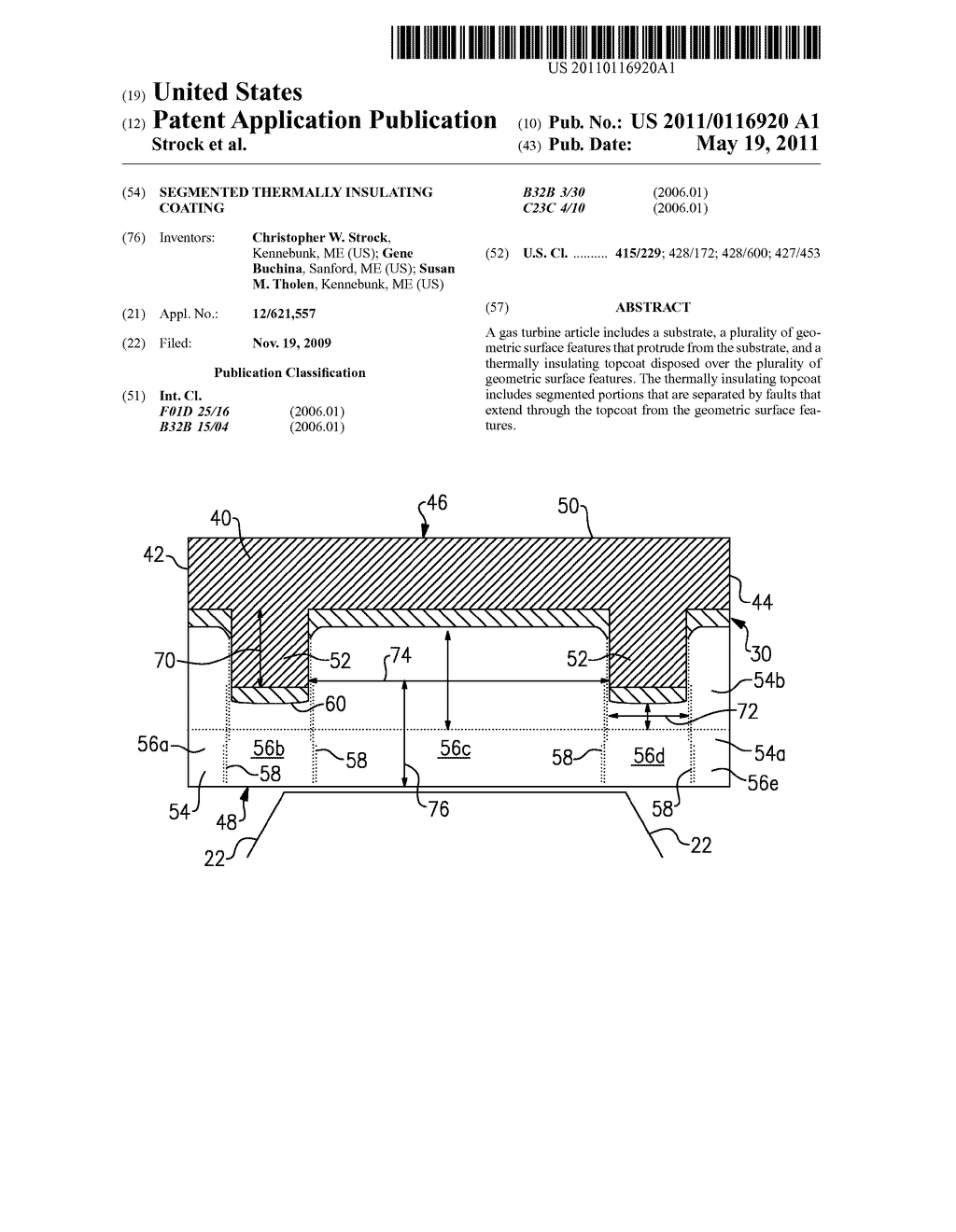 SEGMENTED THERMALLY INSULATING COATING - diagram, schematic, and image 01