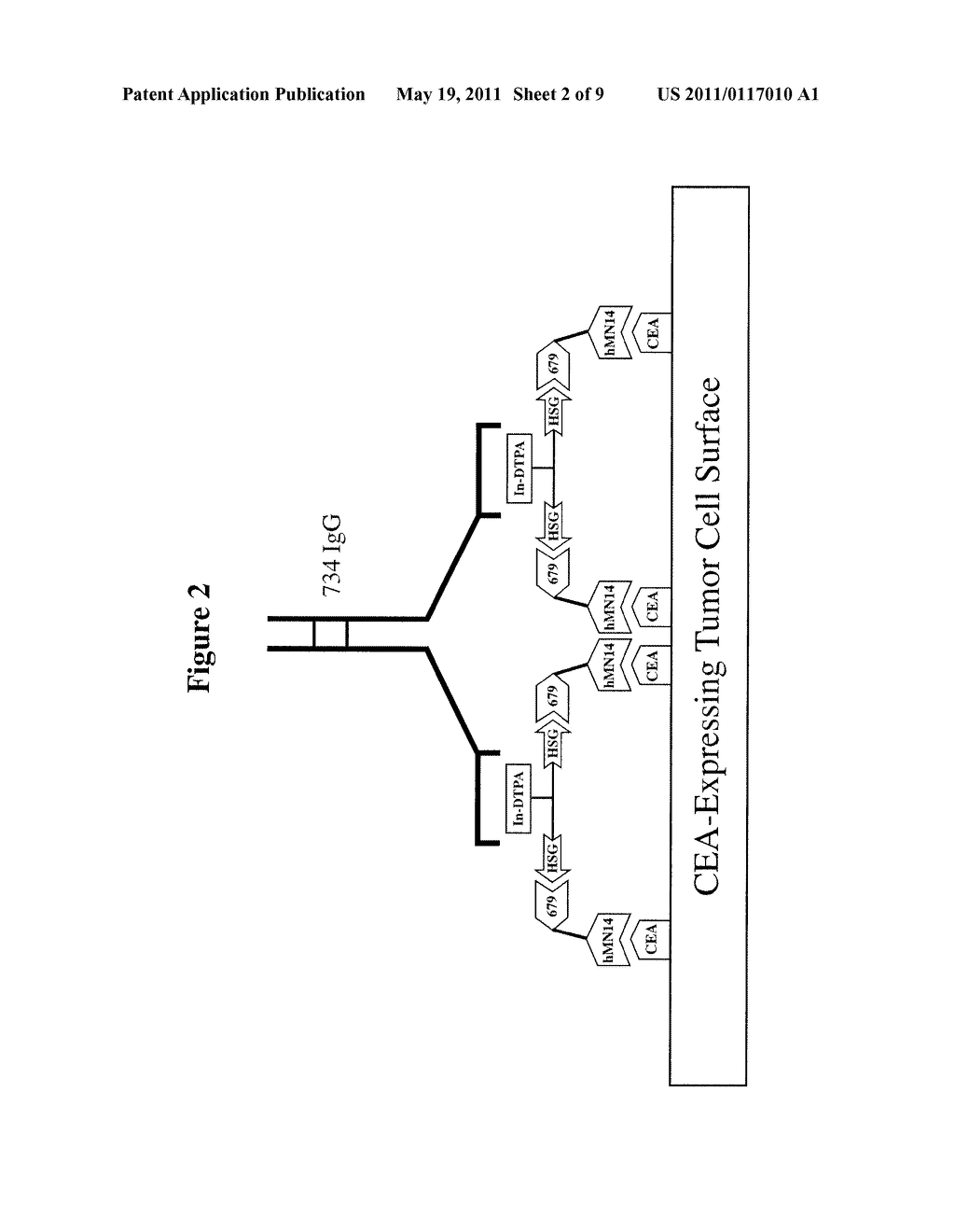 Methods and Compositions for Administering Therapeutic and Diagnostic Agents - diagram, schematic, and image 03