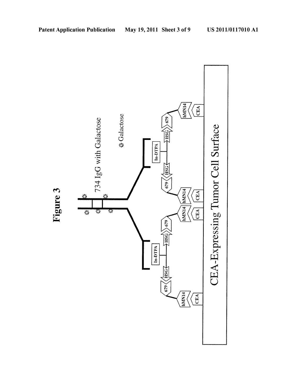 Methods and Compositions for Administering Therapeutic and Diagnostic Agents - diagram, schematic, and image 04