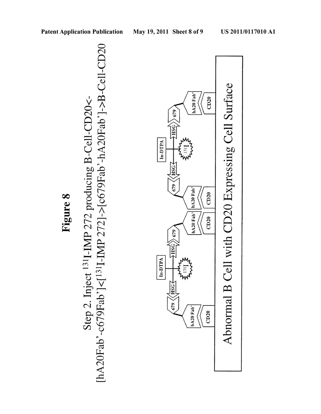 Methods and Compositions for Administering Therapeutic and Diagnostic Agents - diagram, schematic, and image 09