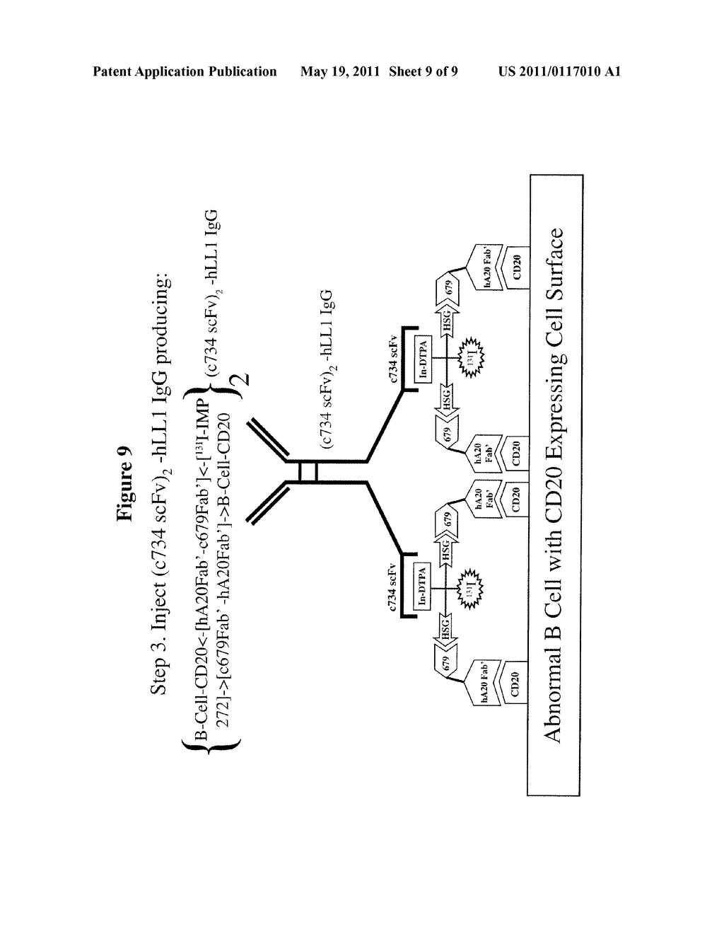 Methods and Compositions for Administering Therapeutic and Diagnostic Agents - diagram, schematic, and image 10