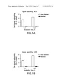 RADIOLABELED GALLIUM COMPLEXES, METHODS FOR SYNTHESIS AND USE FOR PET IMAGING OF EGFR EXPRESSION IN MALIGNANT TUMORS diagram and image