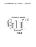 RADIOLABELED GALLIUM COMPLEXES, METHODS FOR SYNTHESIS AND USE FOR PET IMAGING OF EGFR EXPRESSION IN MALIGNANT TUMORS diagram and image